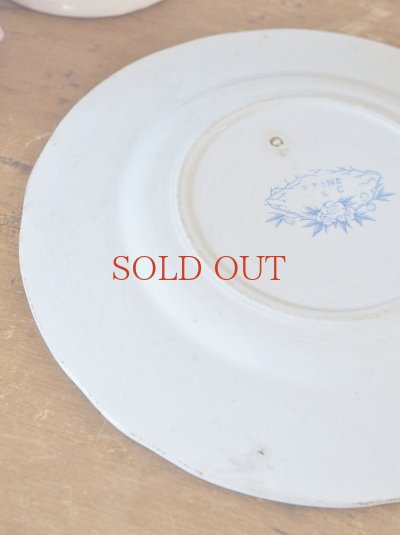 画像7: フランス 1900年前後の お花柄がかわいい サルグミンヌU&Cプレート