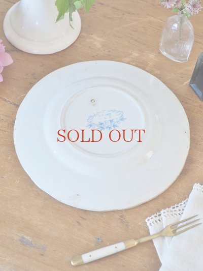 画像6: フランス 1900年前後の お花柄がかわいい サルグミンヌU&Cプレート