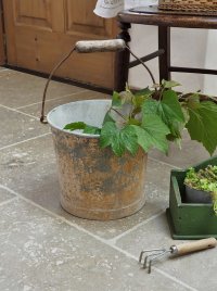 フランス シャビーなバケツ