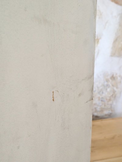 画像6: フランス 書類用シェルフ   10%OFF 