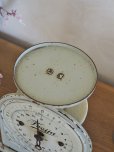 画像16: フランス Freija社製スケール
