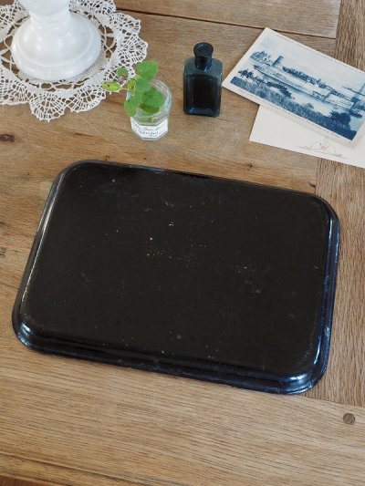 画像7: フランス パピエマルシェ製 トレイ