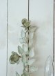 画像9: フランス 薔薇のモチーフが素敵な アイアンウォールライト (9)