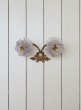 画像6: フランス 薔薇の2灯ウォールライト (6)