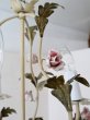画像10: フランス 薔薇がかわいい アイアンシャンデリア (10)
