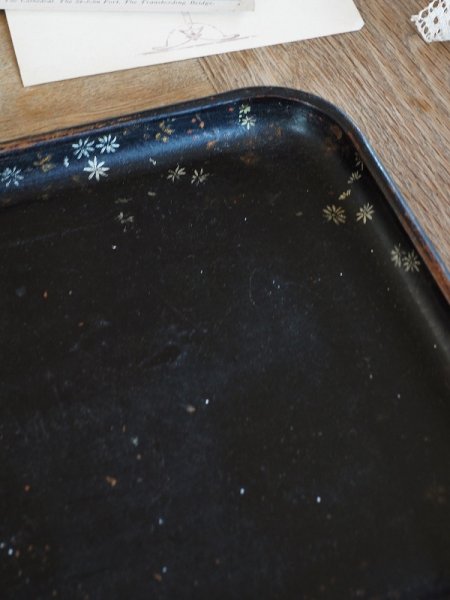 画像5: フランス パピエマルシェ製 トレイ (5)